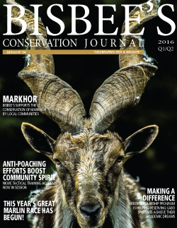 Bisbee's Conservation Journal Cover Image | Issue 04
